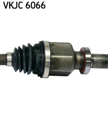 Cardan SKF VKJC 6066